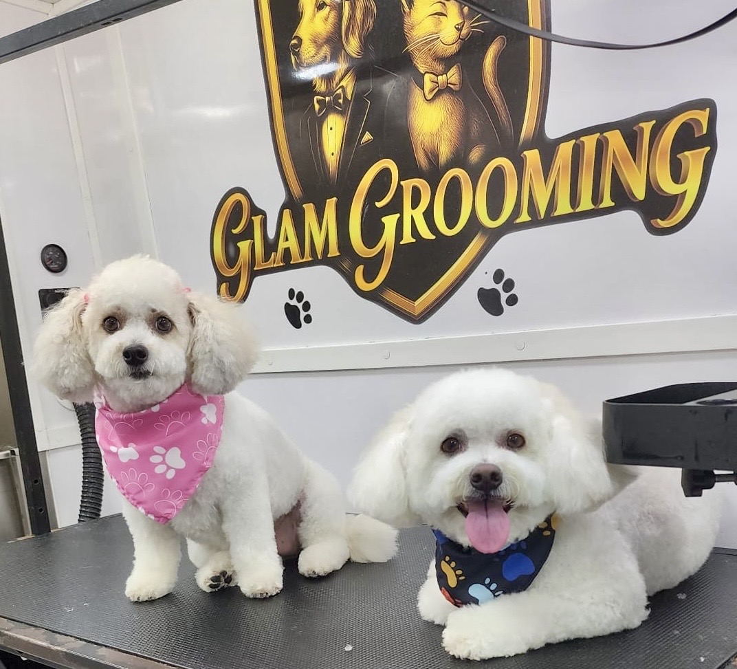 De-Shedding Results