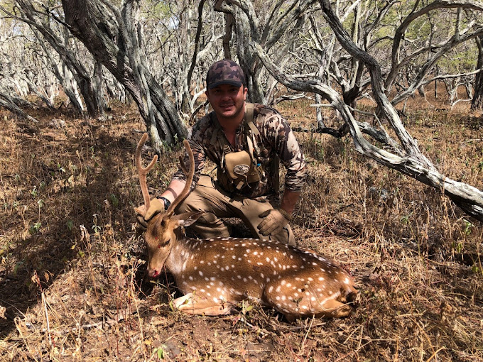 Can Tourists Hunt in Hawaii? Yes, Here's How to Do It on Molokai