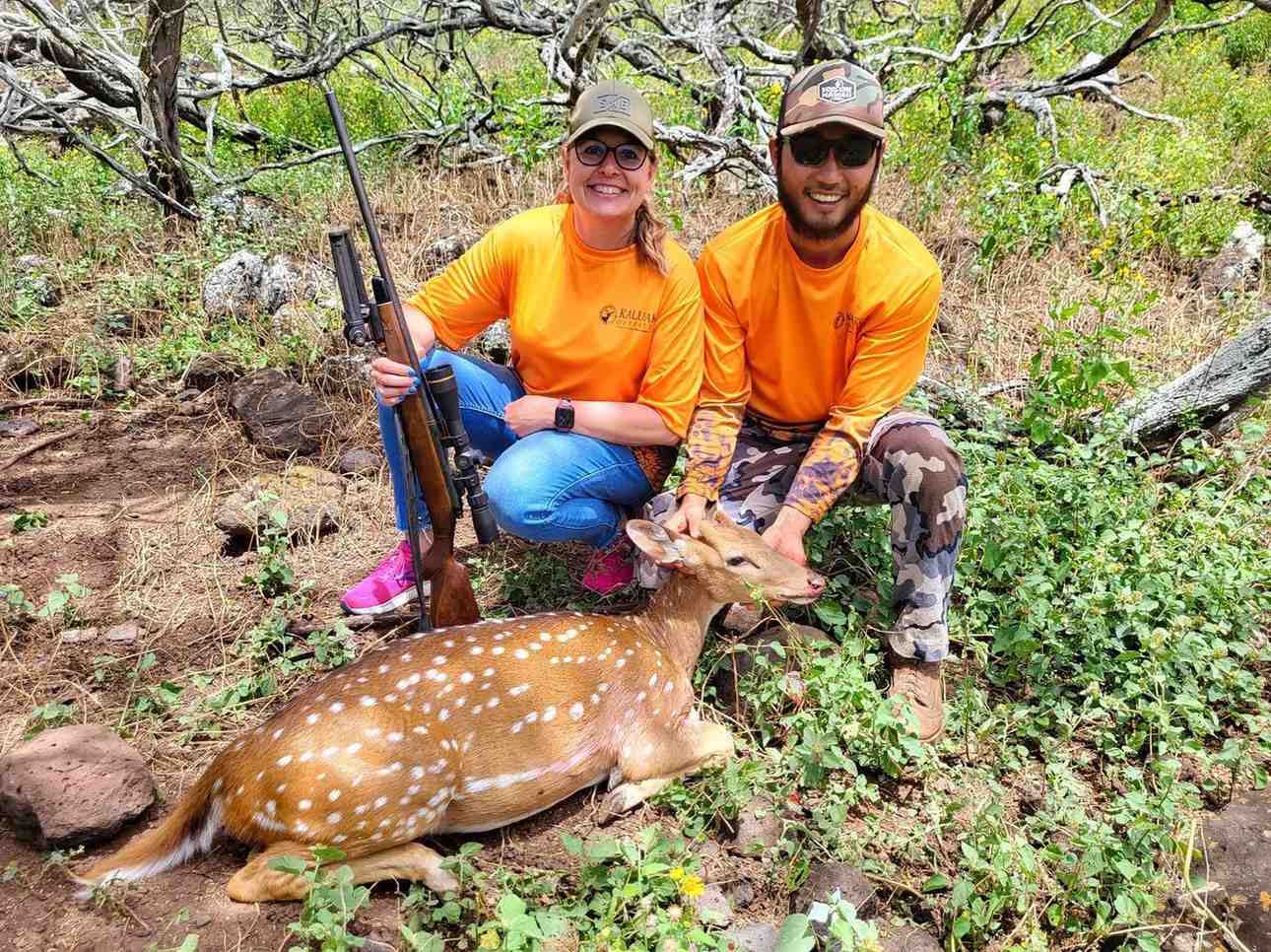 Is Deer Hunting Ethical in Hawaii? Here’s What to Know