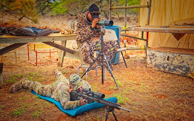 Is Deer Hunting Hard in Hawaii? Here’s What You Need to Know
