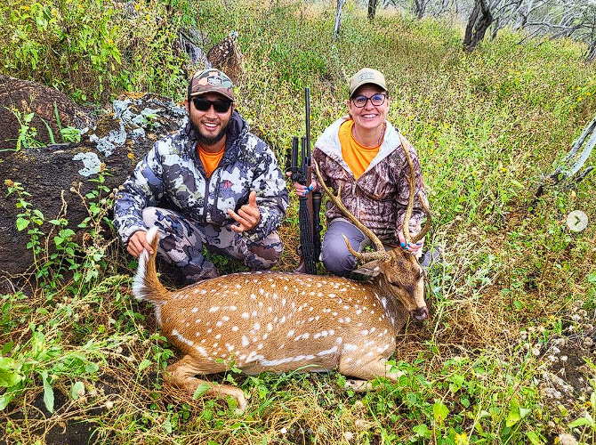 How to Choose a Guided Deer Hunting Outfitter in Hawaii