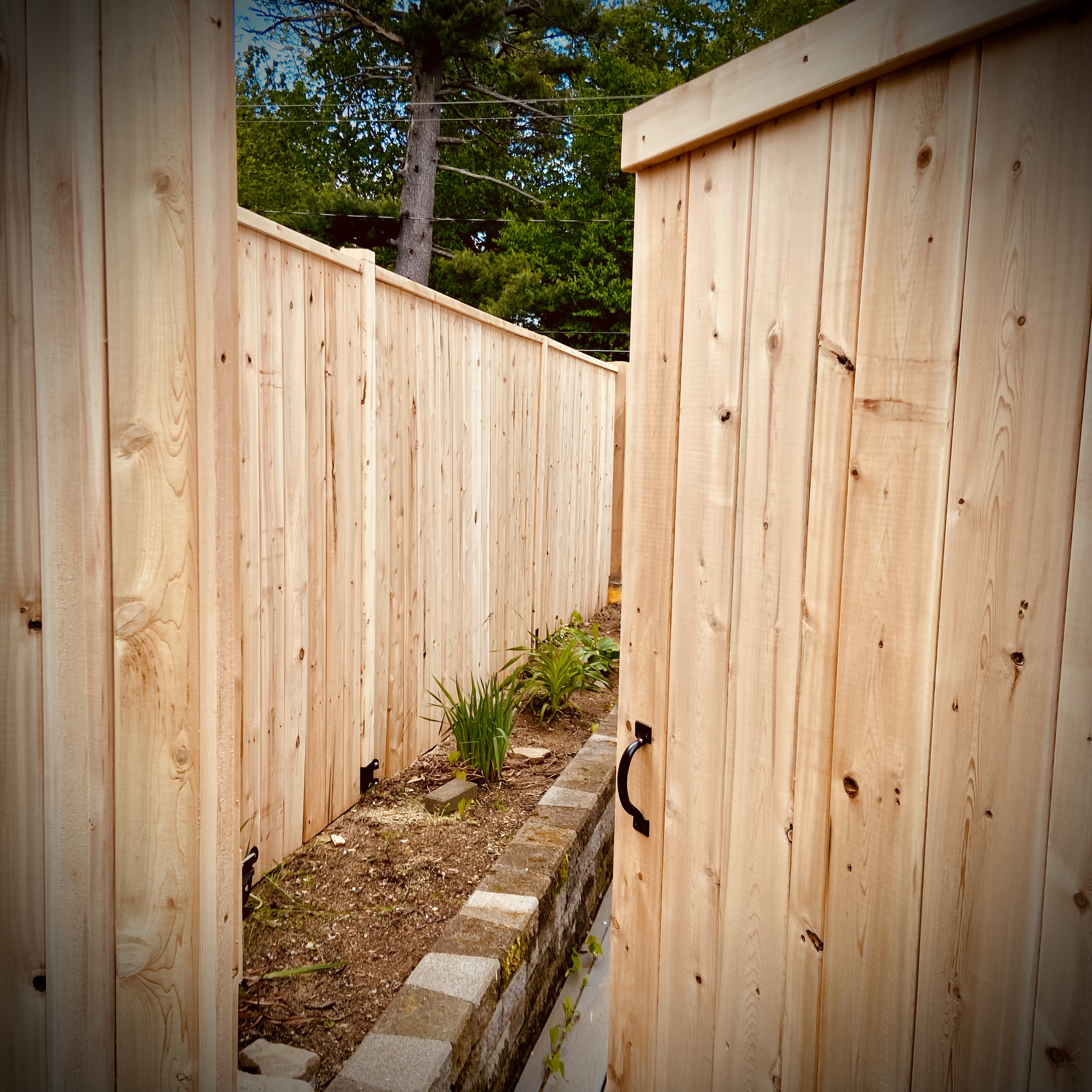 Space before new fence 1