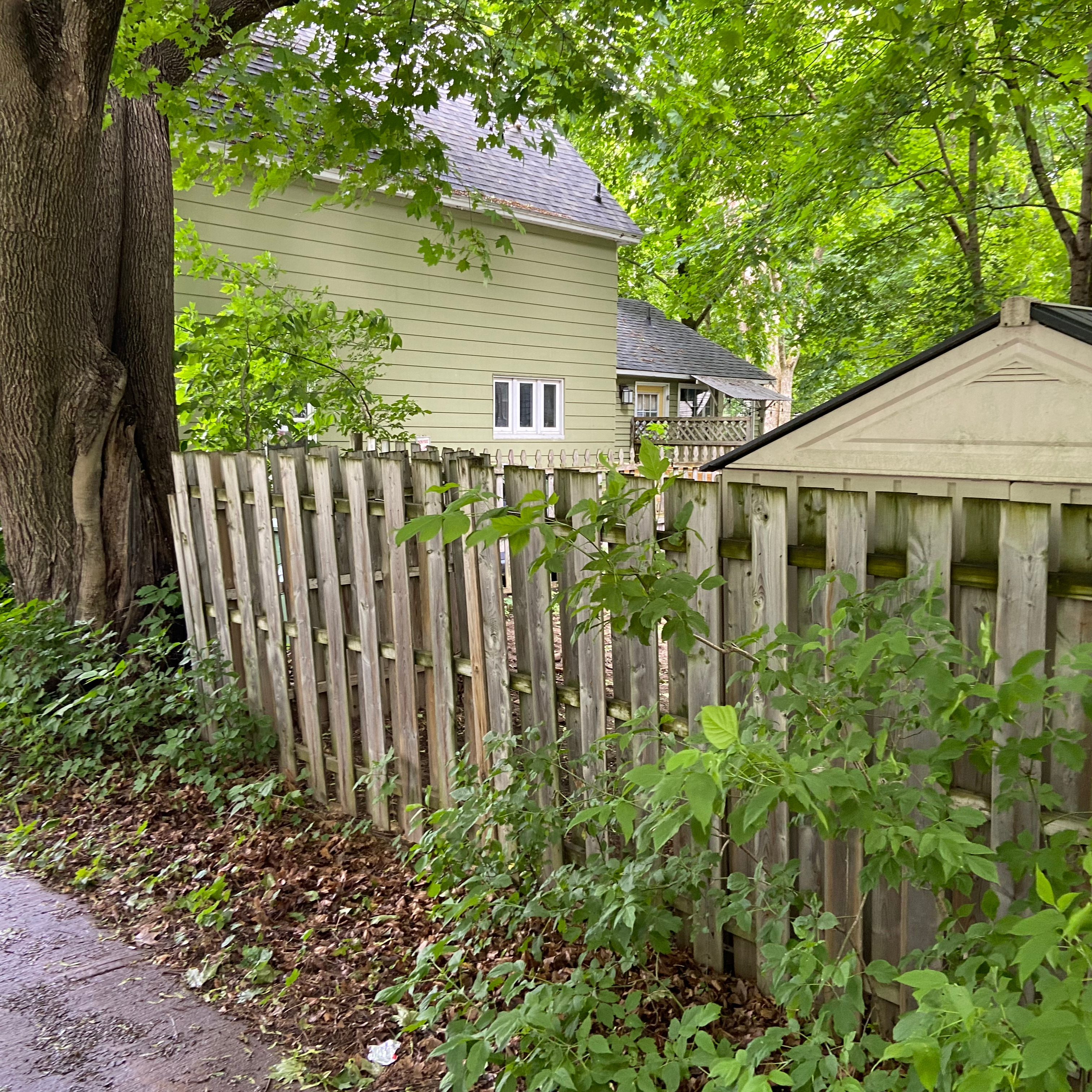 Space after new fence 3