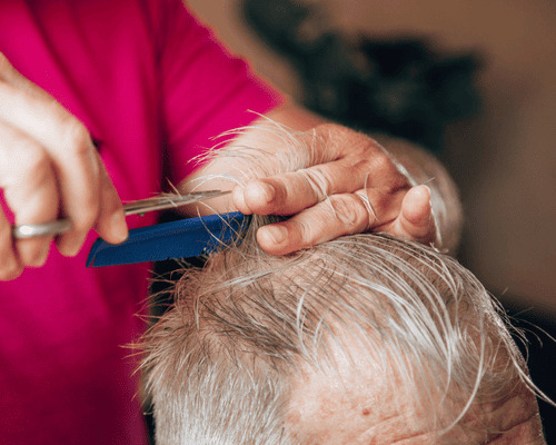 Regular Haircut Morisset