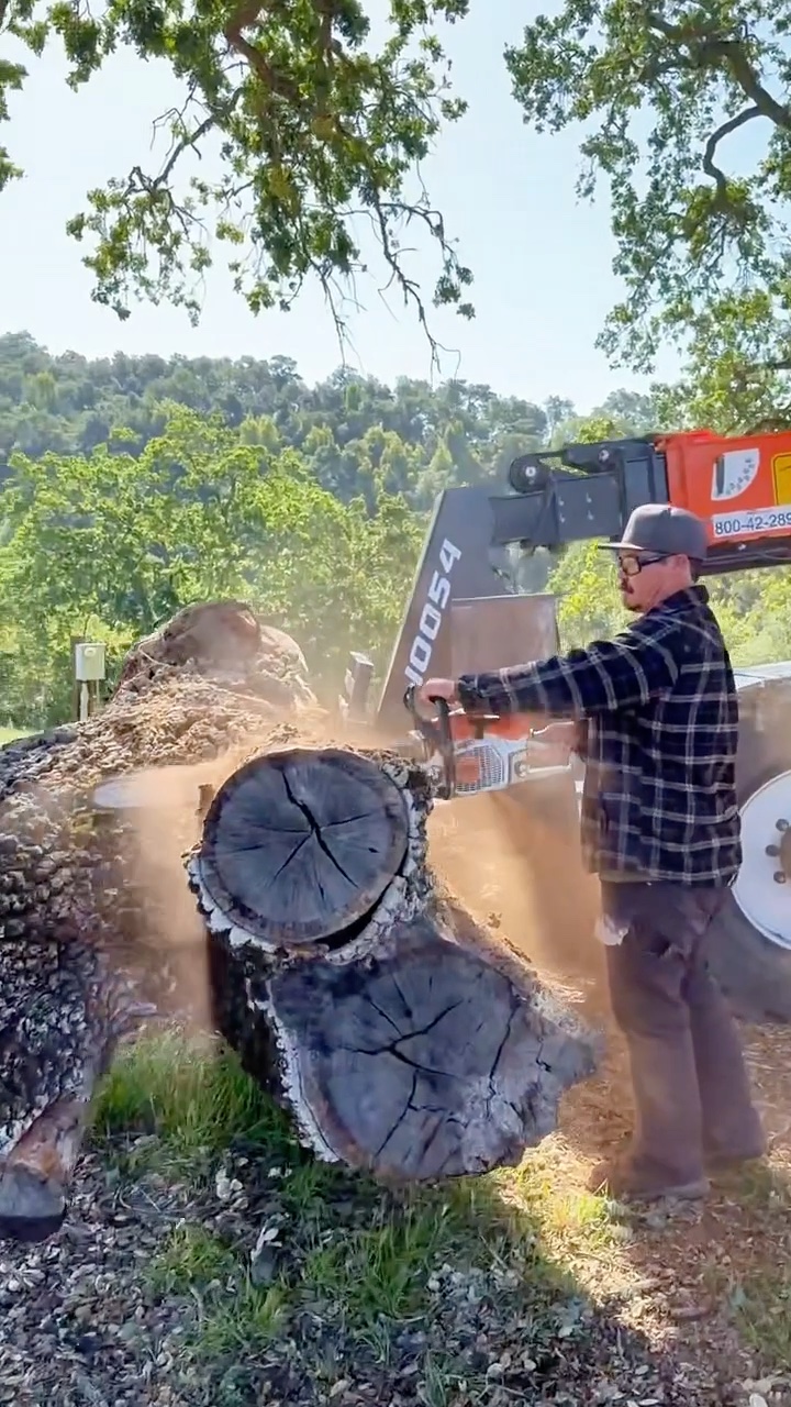 Cutting a log with a chainsaw
