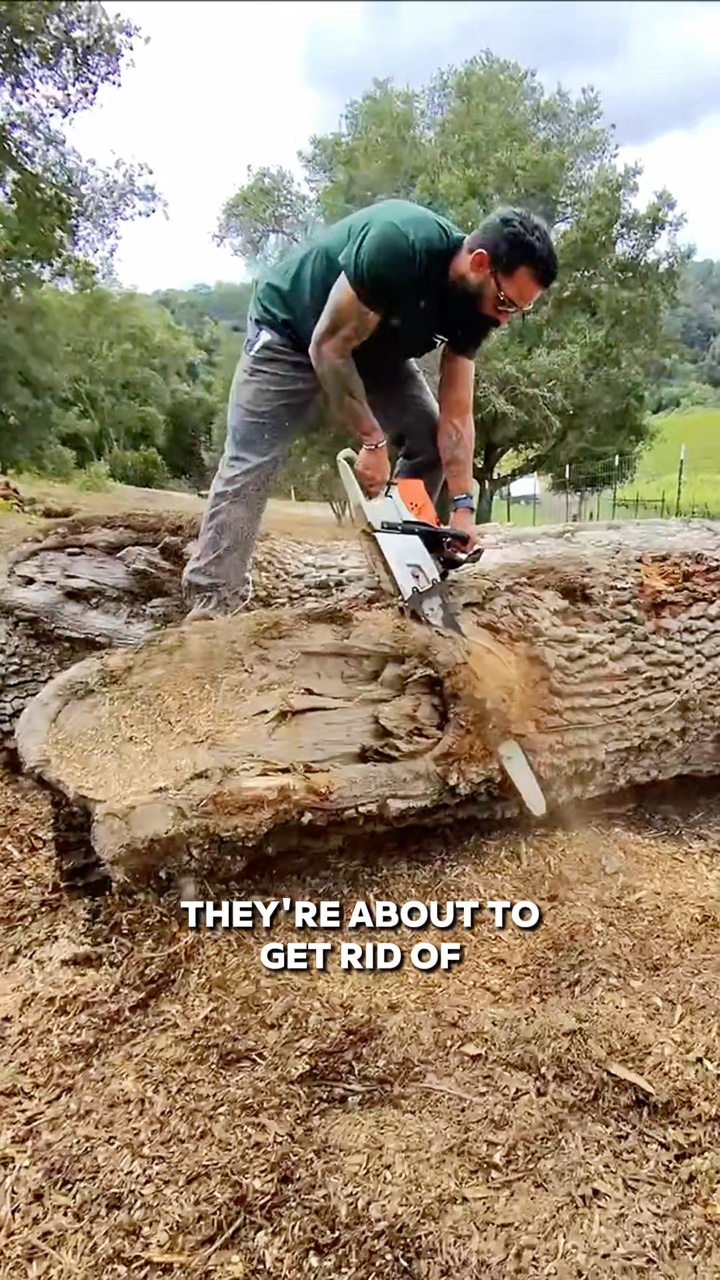 A Deadwood Revival Design video: cutting into a fallen tree with a chainsaw