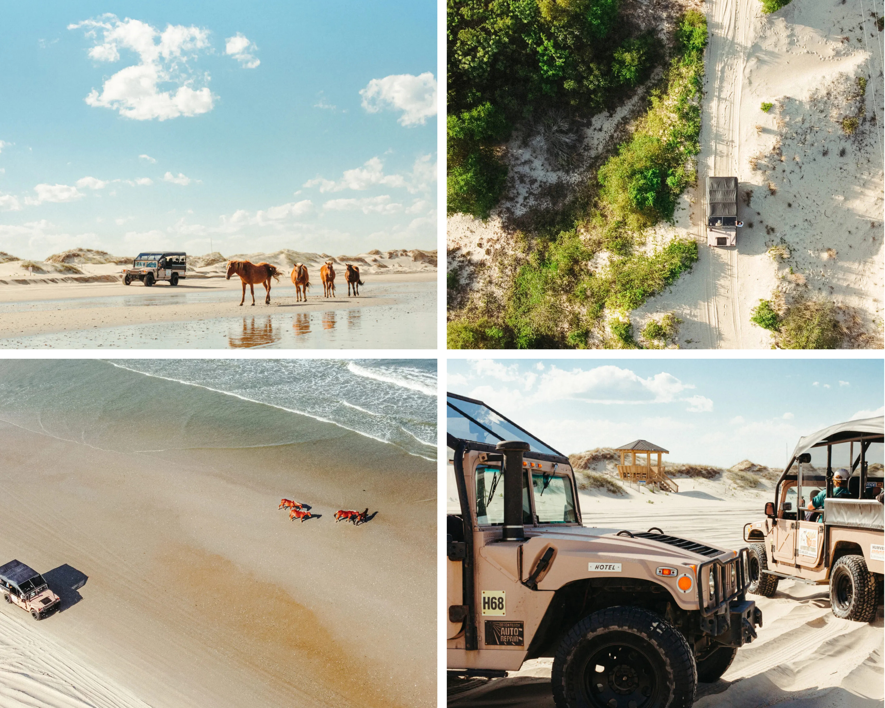 Corolla Horse Tour Corolla Horse Tour