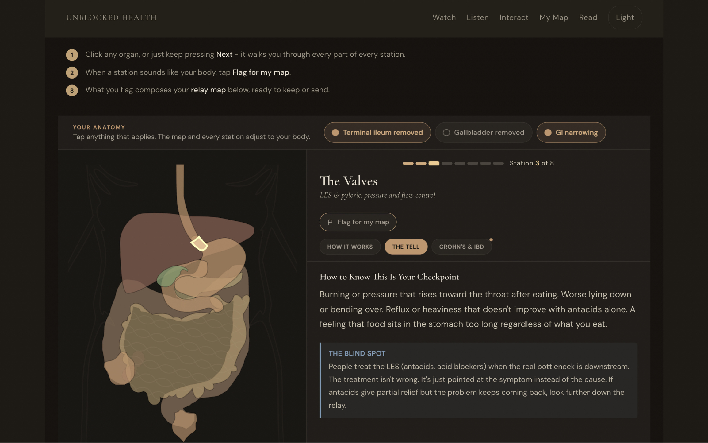 Interactive digestive learning experience