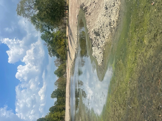 Pond Excavation