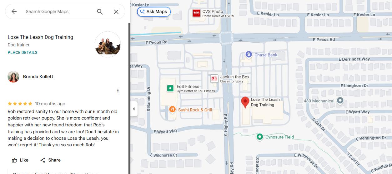 5 Star Google Review for Lose The Leash Dog Training in Queen Creek AZ