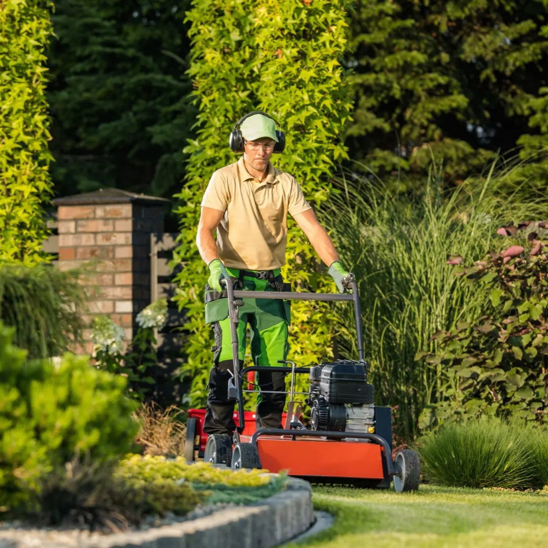 Lawn Care Maintenance: Expert Services for a Lush Lawn