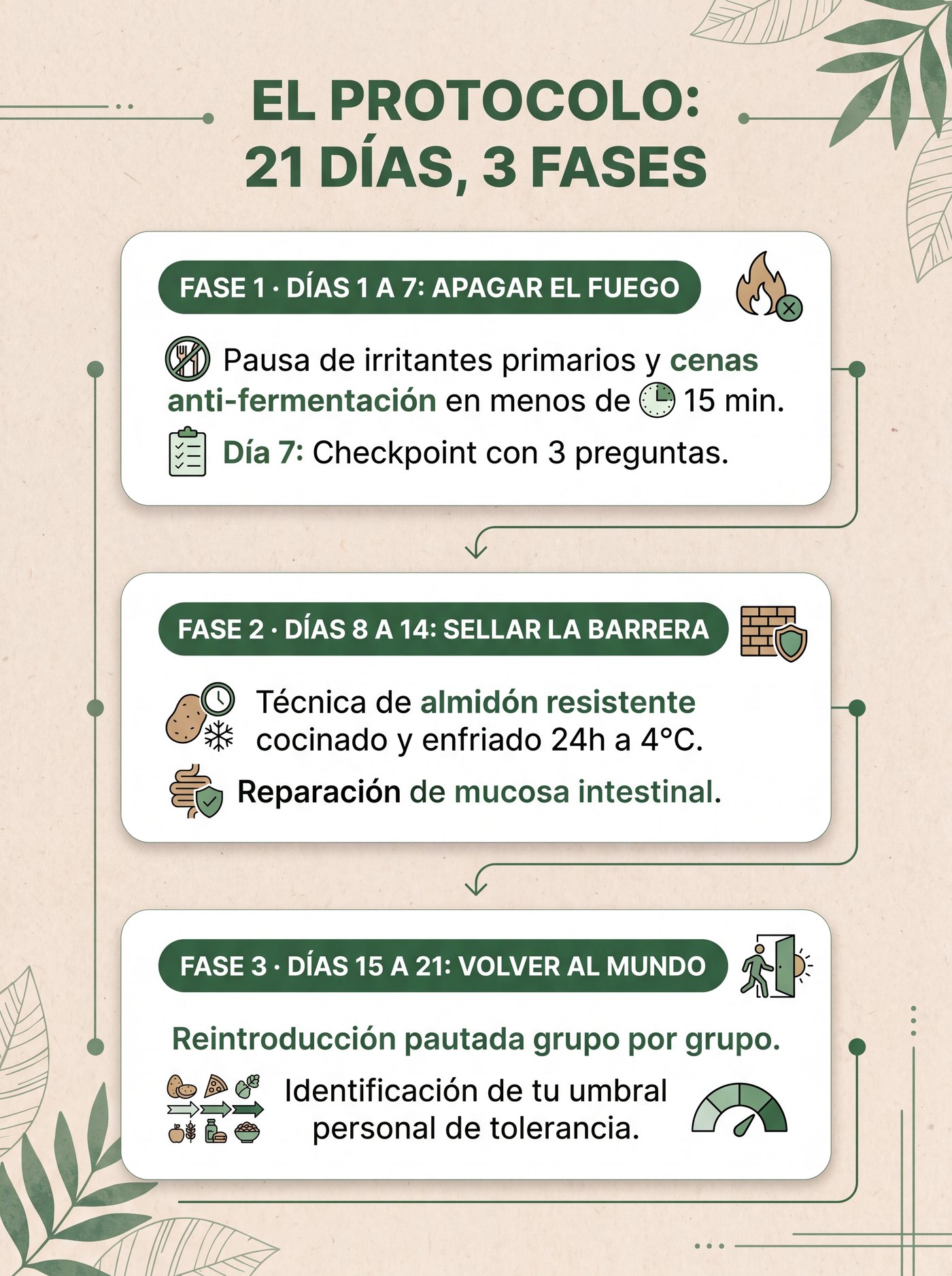 El Protocolo: 21 días, 3 fases — Apagar, Sellar, Volver