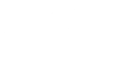 Logo Flex Fit
