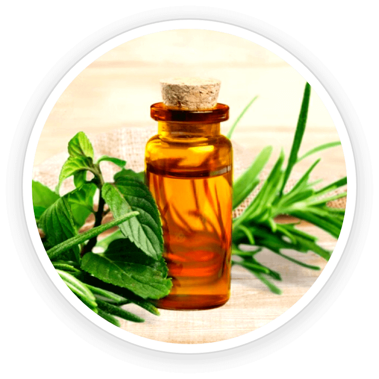 tea tree oil