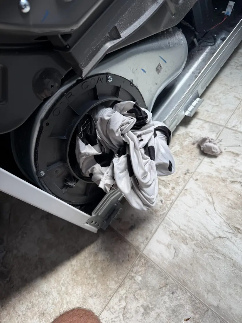 Fabric caught behind a dryer drum, seen with the front panel removed