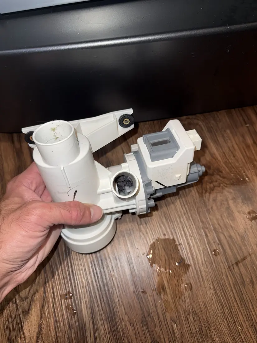 Washer drain pump removed from the machine