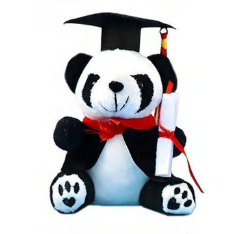 LK-CM-0027