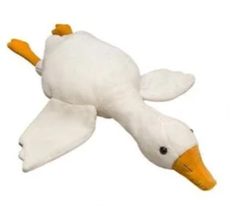 LK-CM-0509