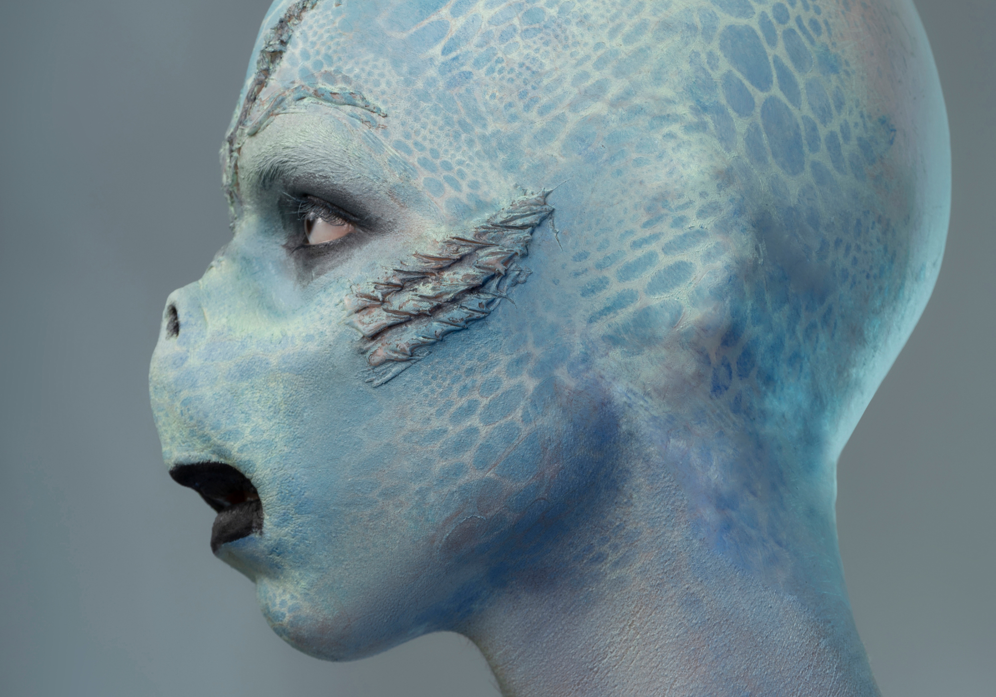 Special Effects Program