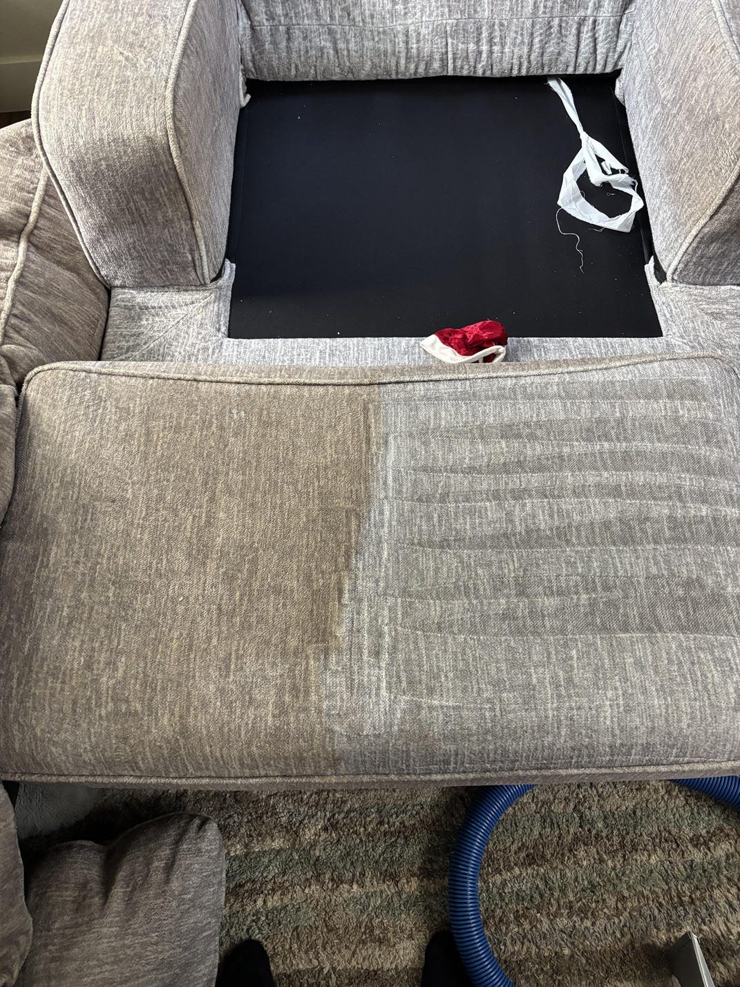 A couch undergoing the deep cleaning process for pets