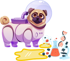 An icon of a pet soiling a carpet