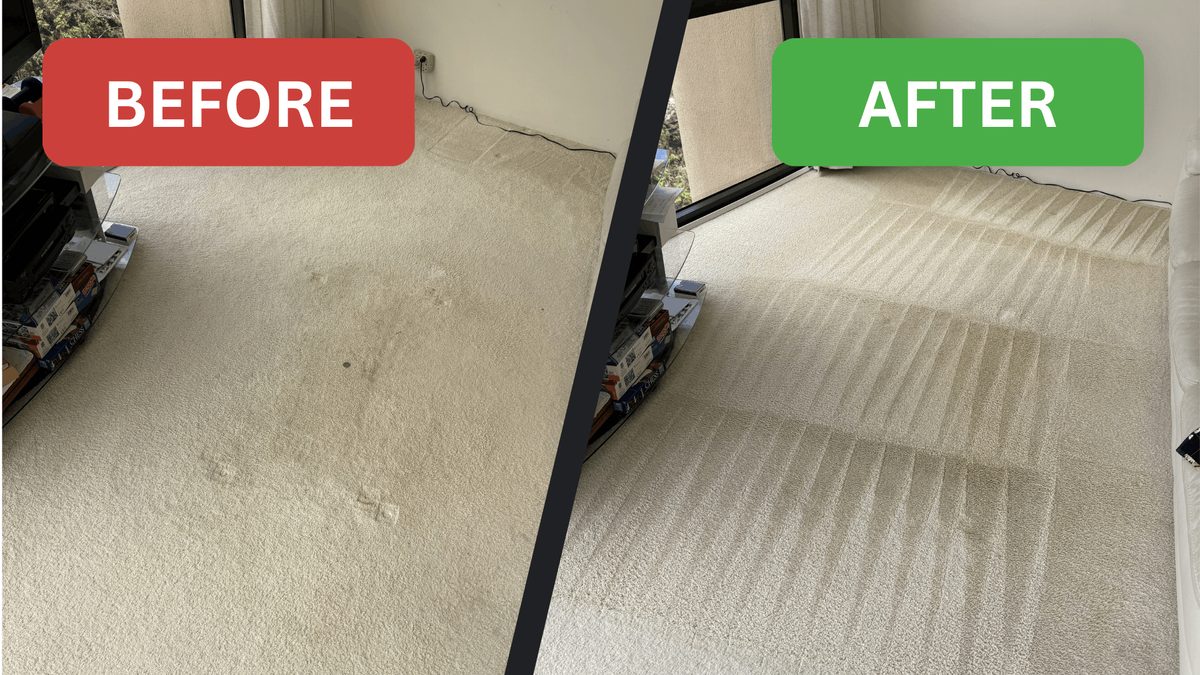 Before and after comparison of a stained carpet, fully cleaned