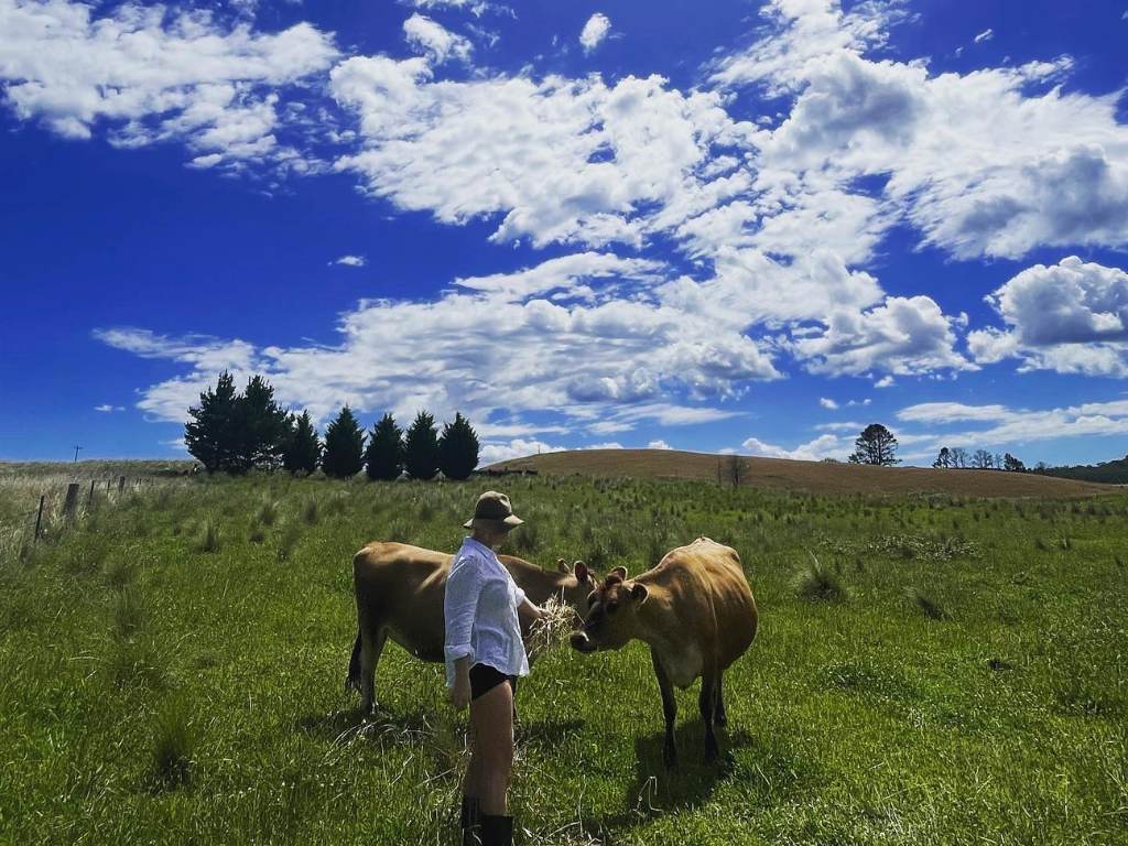 Michaela Sparrow feeding Mabel and Ernie, her rescue dairy cows, on the farm
