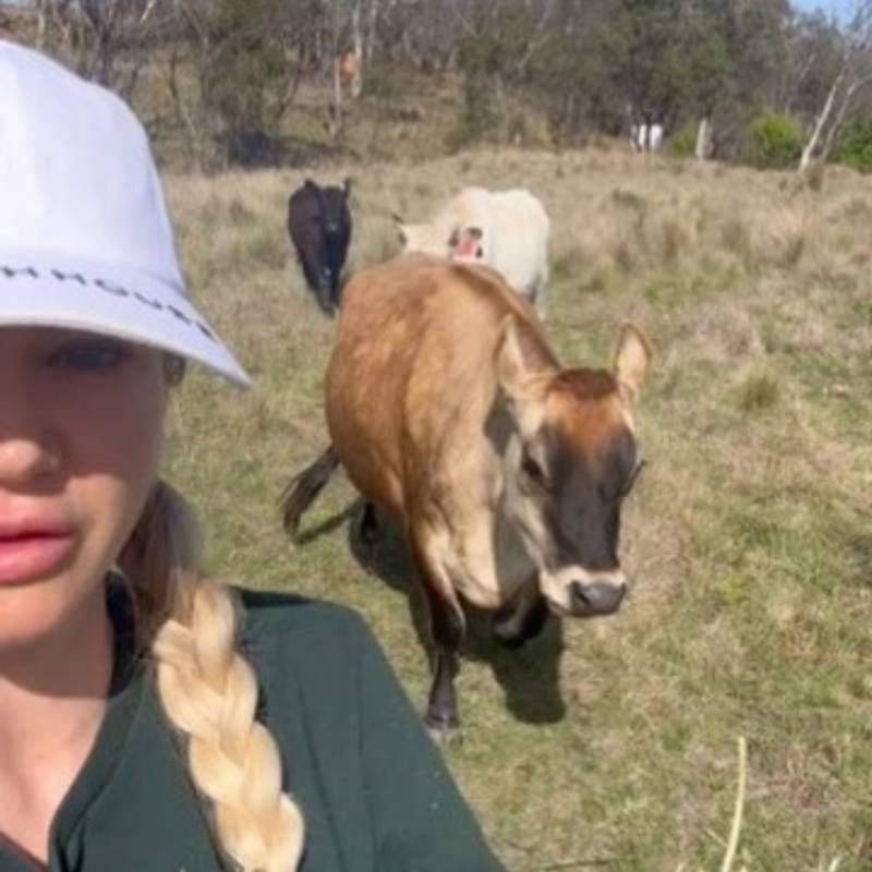 Michaela Sparrow in the paddock with her rescue dairy cows Mabel and Ernie