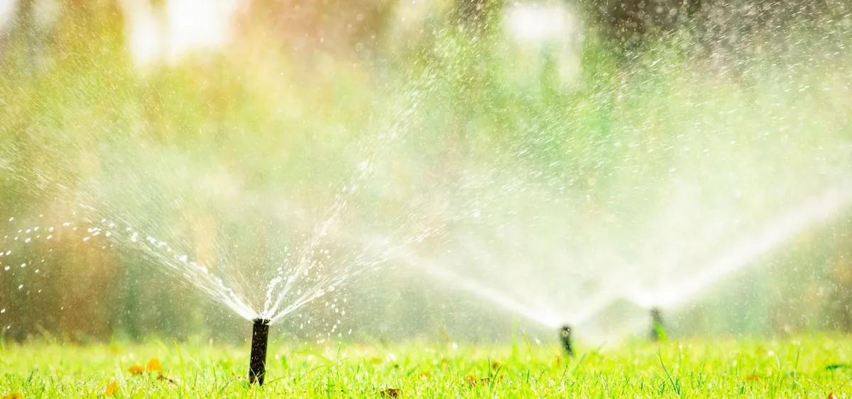 Lawn care and maintenance for a residential yard in Hempstead, NY
