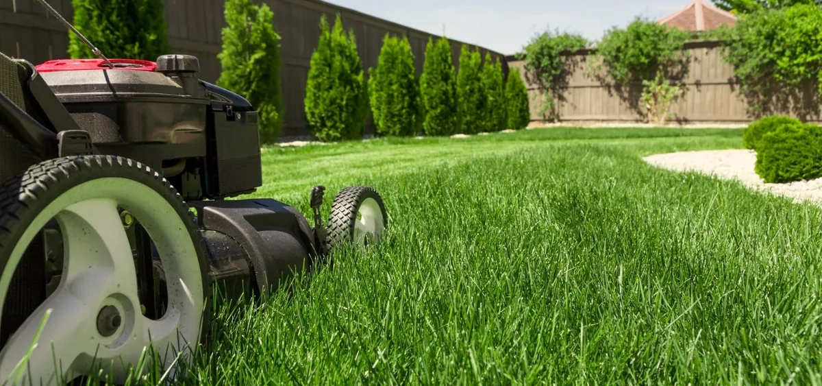 Residential grass cutting and lawn mowing in Hempstead, NY
