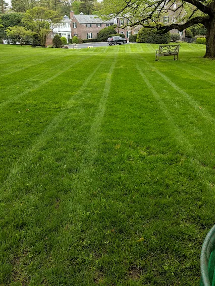 Landscaping and power washing project on Long Island NY