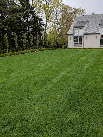 Landscaping and power washing project on Long Island NY