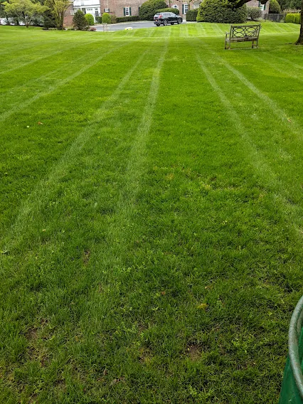 Landscaping and power washing project on Long Island NY