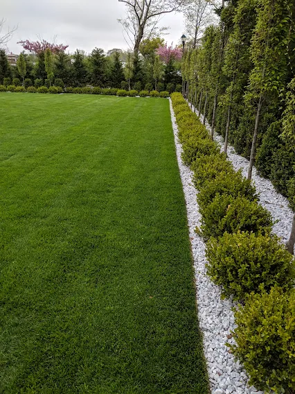 Landscaping and power washing project on Long Island NY