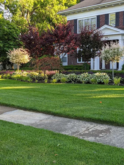Landscaping and power washing project on Long Island NY