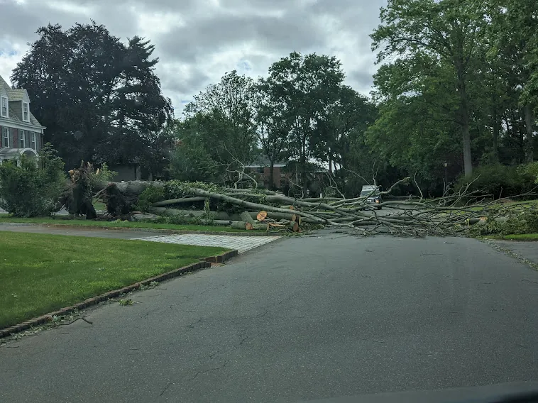 Landscaping and power washing project on Long Island NY