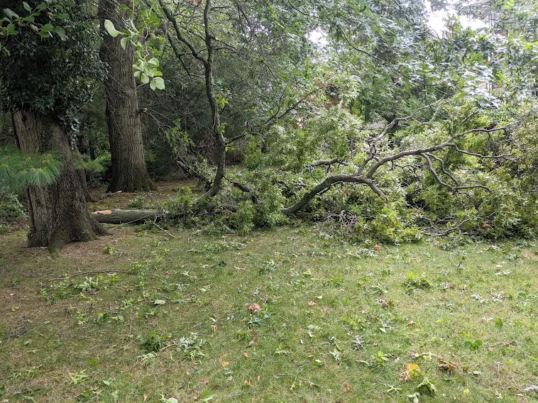 Landscaping and power washing project on Long Island NY