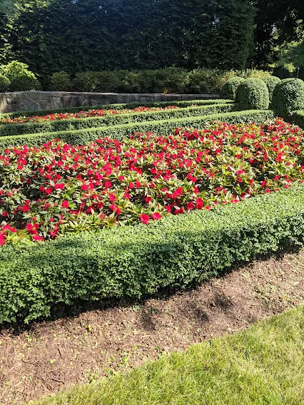 Landscaping and power washing project on Long Island NY