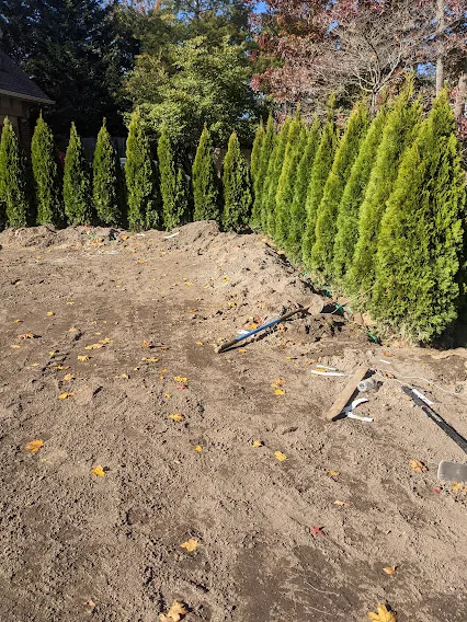 Landscaping and power washing project on Long Island NY