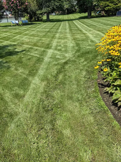 Landscaping and power washing project on Long Island NY