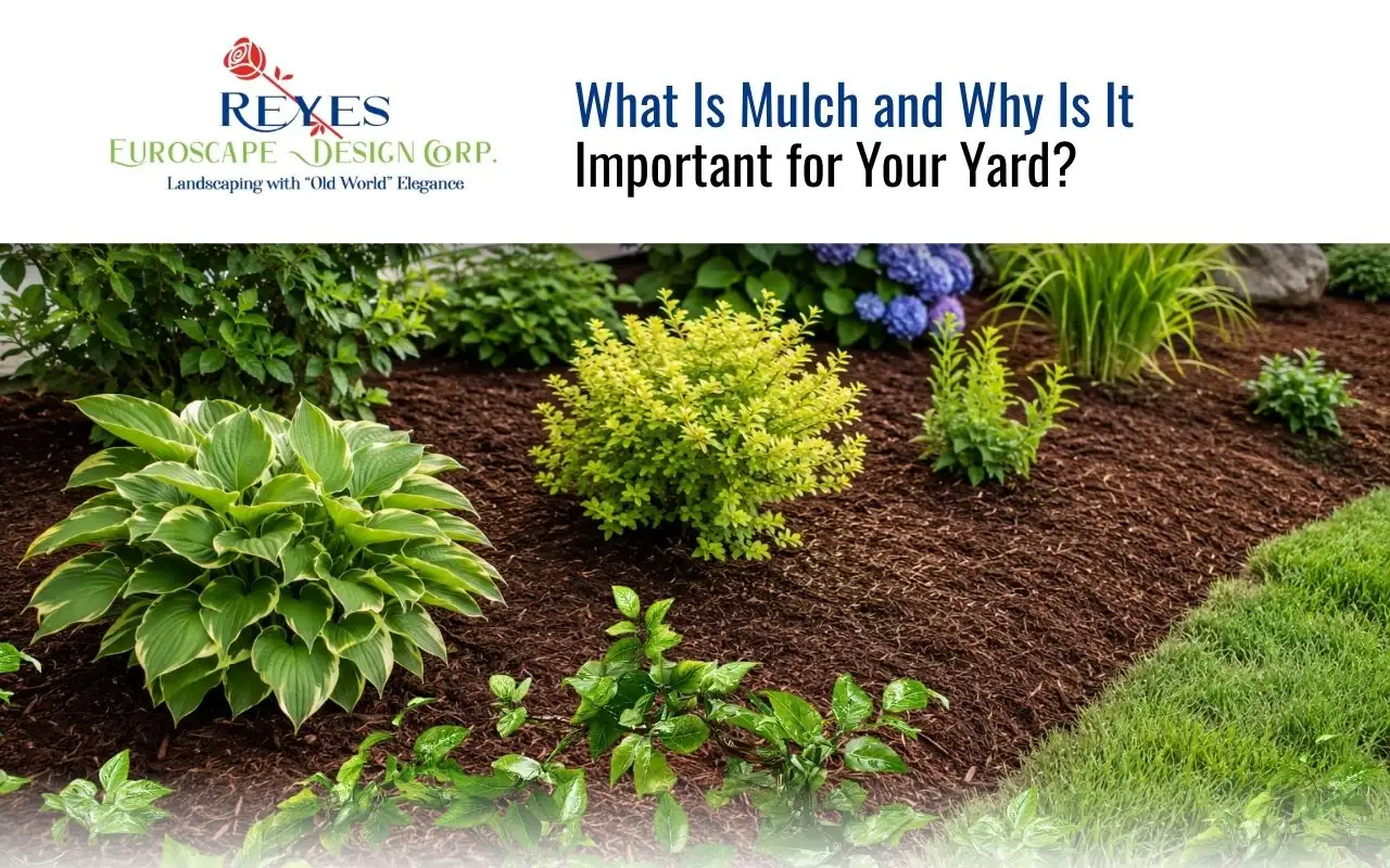 Fresh dark brown mulch spread in a garden bed with bright green plants