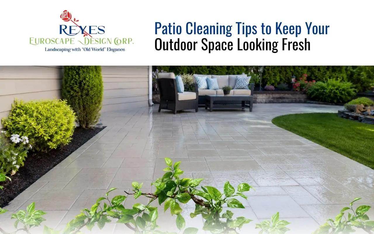 Professional power washing a stone patio showing a clear before and after difference