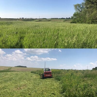 Site Restoration in Des Moines