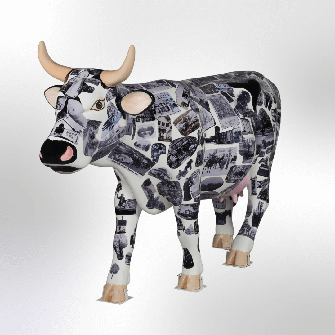 A cow covered in vintage black and white photos of people and places in Sturbridge, MA