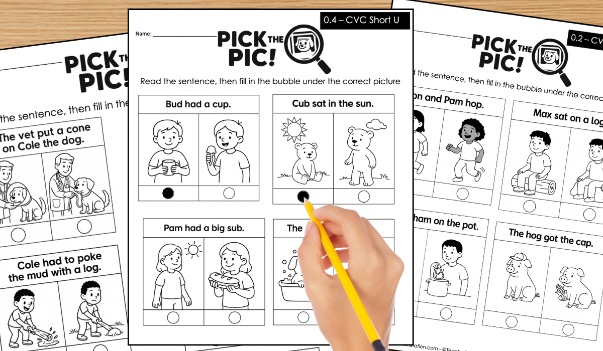 Pick the Pic resources preview