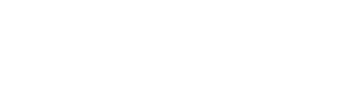 Plant City Screen Enclosures Logo