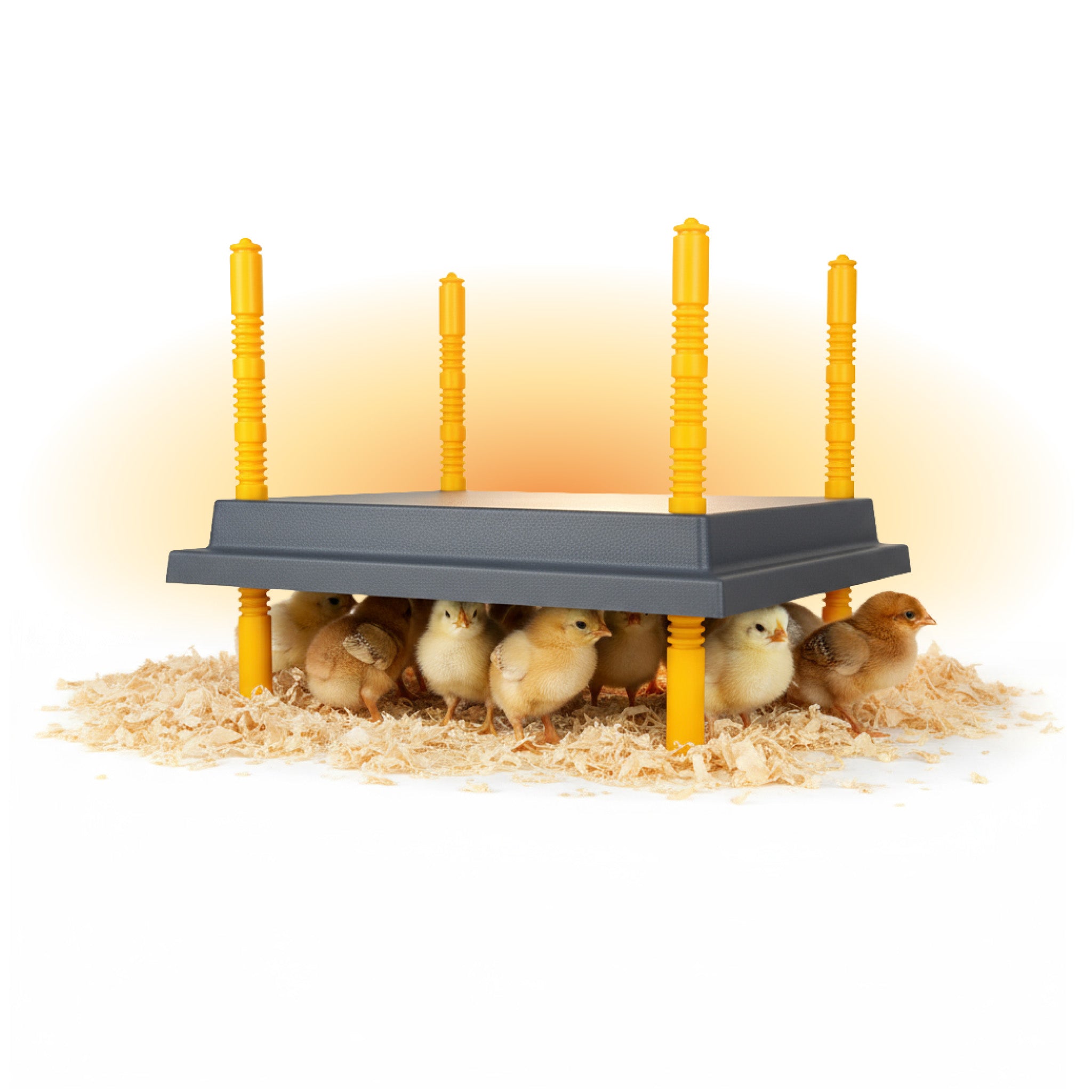 Chick Brooder Heating Plate (10x10 in)