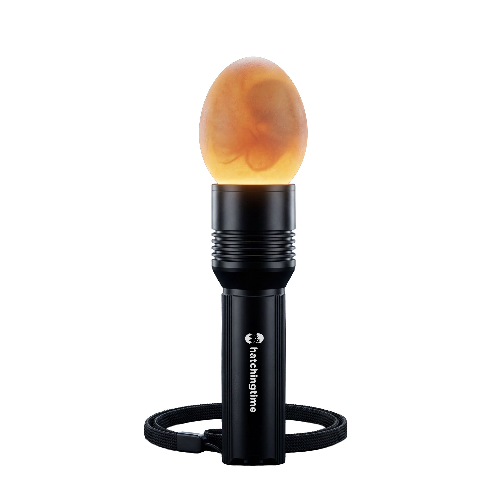 Egg Candler