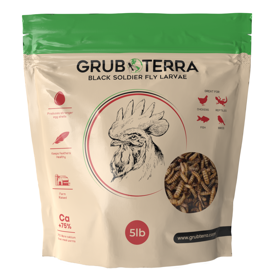 Dried Black Soldier Fly Larvae Treats
