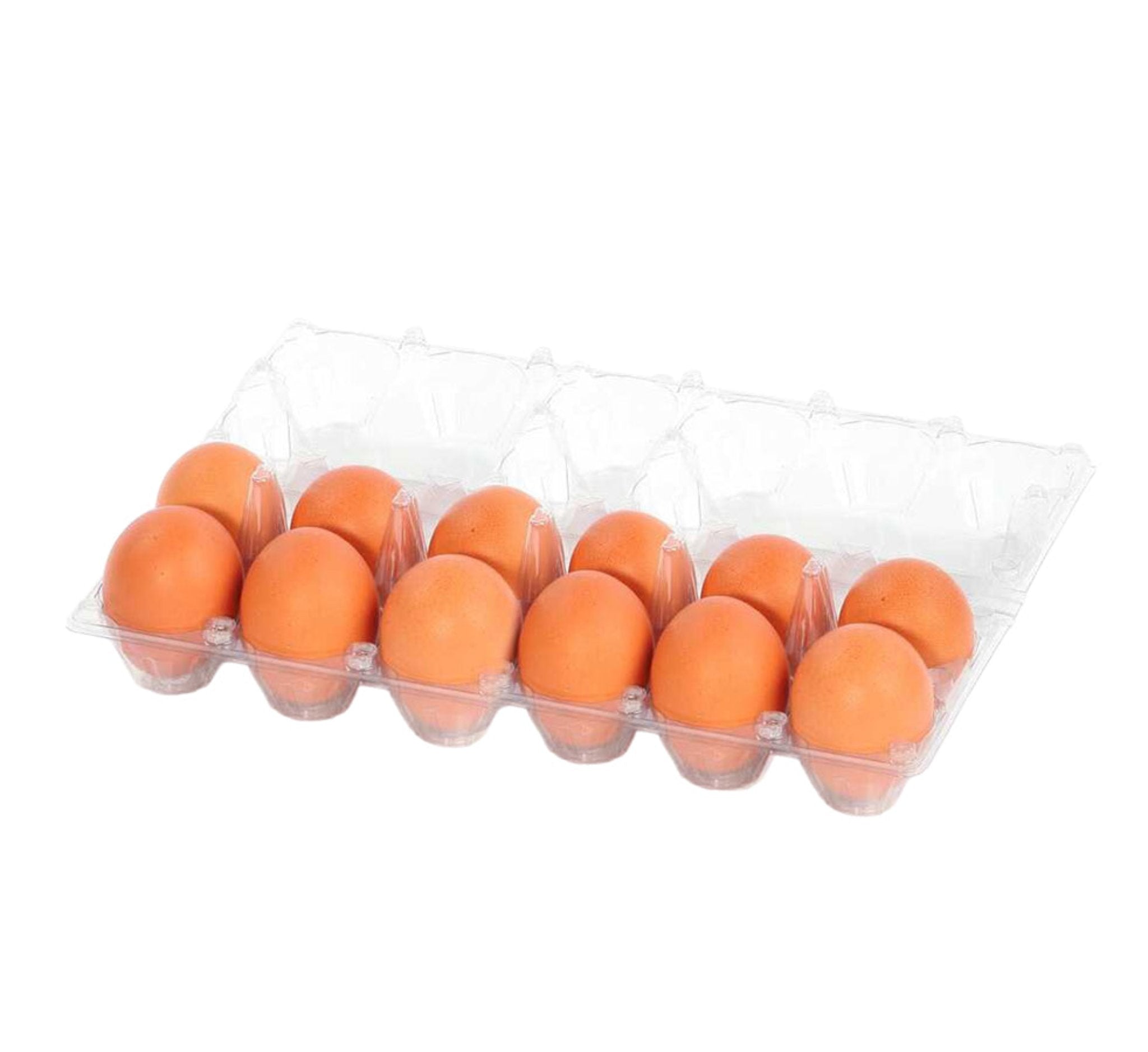 Clear Vintage-Style 12-Egg Cartons